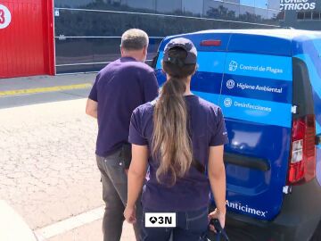 Plagas al alza y manos escasas: el reto del sector de control en plena crisis climática Plagas al alza y manos escasas: el reto del sector de control en plena crisis climática
