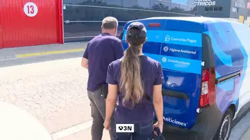 Plagas al alza y manos escasas: el reto del sector de control en plena crisis climática Plagas al alza y manos escasas: el reto del sector de control en plena crisis climática