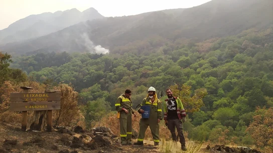 A3 Noticias Fin de Semana (06-09-25) Nuevos incendios en Galicia, Navarra y Castilla y León: siete focos permanecen activos A3 Noticias Fin de Semana (06-09-25) Nuevos incendios en Galicia, Navarra y Castilla y León: siete focos permanecen activos