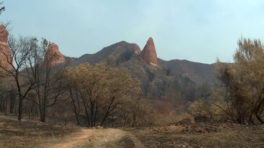 Las M&eacute;dulas