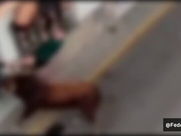 El ayuntamiento ha decretado una jornada de luto en el día de la patrona