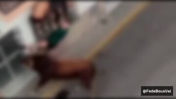 El ayuntamiento ha decretado una jornada de luto en el día de la patrona