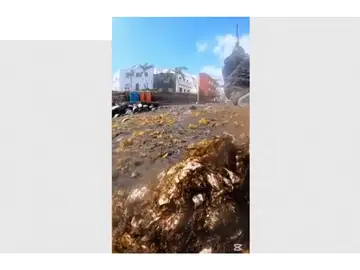 Los jóvenes subieron un vídeo en el que retiraban más de 300 toallitas Los jóvenes subieron un vídeo en el que retiraban más de 300 toallitas