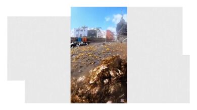 La viral denuncia de dos niños que critican la contaminación por toallitas en una playa de Tenerife: 