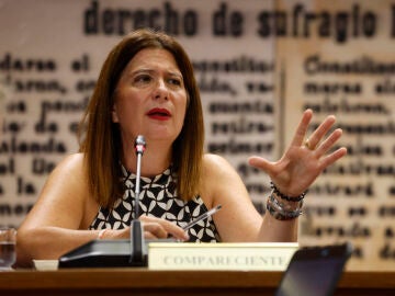 Leire Díez en el Senado