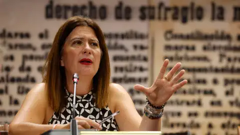 Leire Díez en el Senado Leire Díez en el Senado