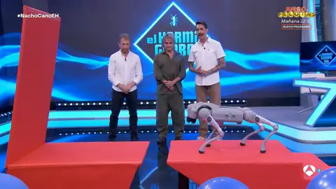 Nacho Cano alucina con la tecnología futurista de Marron: "¡Que barbaridad!" Nacho Cano alucina con la tecnología futurista de Marron: "¡Que barbaridad!"