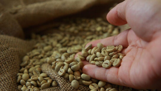 Caf&eacute; verde