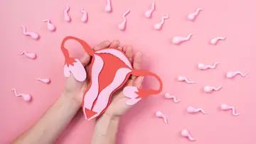 Ovario rodeado de espermatozoides Ovario rodeado de espermatozoides