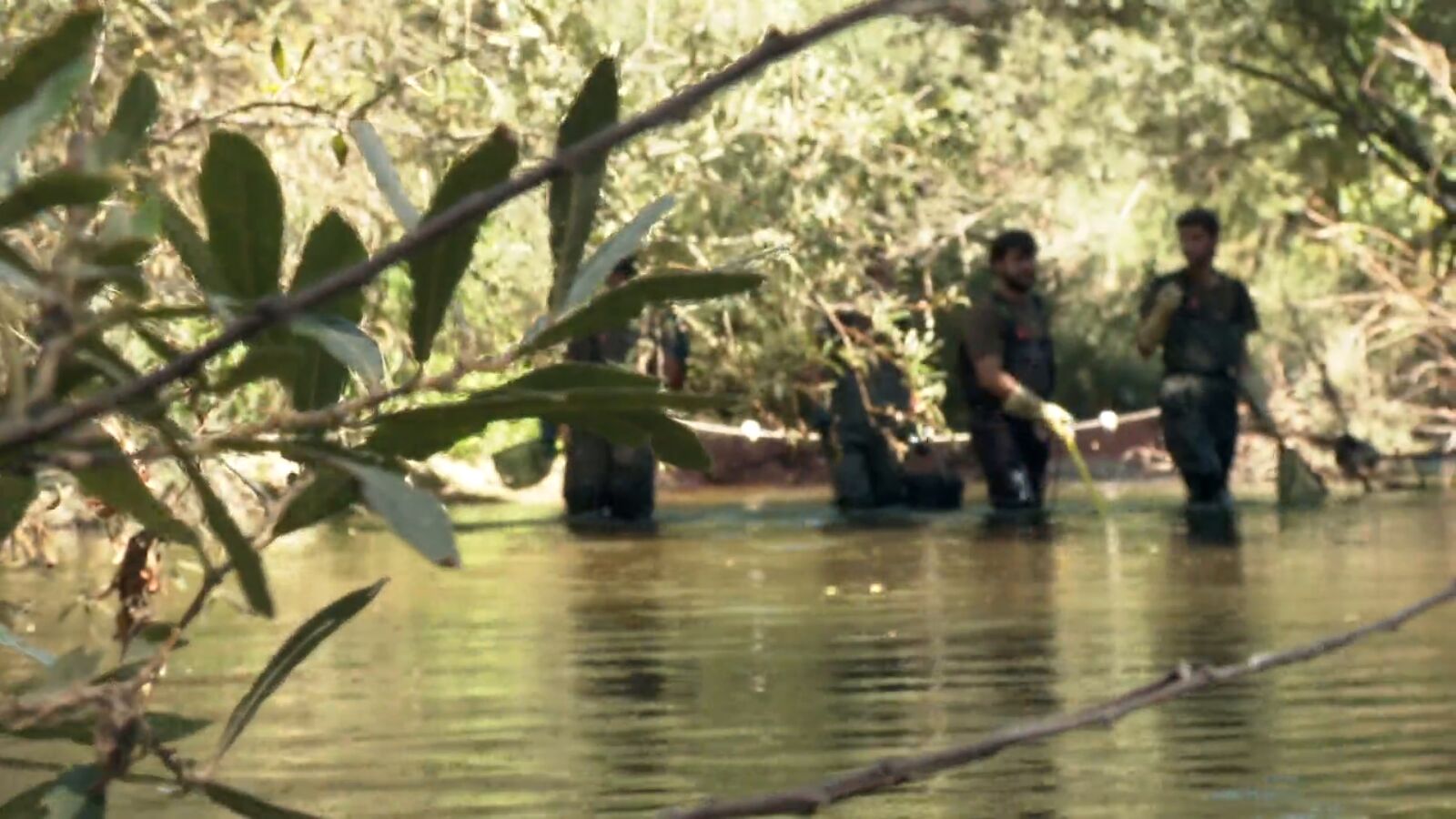 La Patrulla Fauna extrae los peces exóticos de los ríos madrileños para salvar a los autóctonos