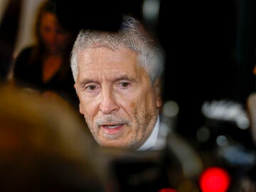 El ministro de Interior, Fernando Grande-Marlaska