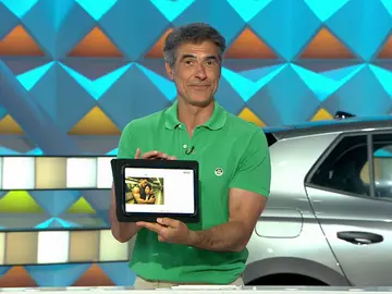 Jorge Fernández sorprende con su explicación sobre abrazos para evitar la soledad Jorge Fernández sorprende con su explicación sobre abrazos para evitar la soledad