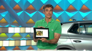 Jorge Fernández sorprende con su explicación sobre abrazos para evitar la soledad