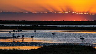 Delta del Ebro, Tarragona