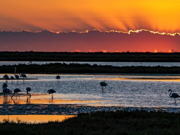 Delta del Ebro, Tarragona