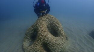 La ciencia y biotecnolog&iacute;a para restaurar la biodiversidad del Port Ol&iacute;mpic