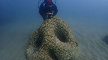 La ciencia y biotecnología para restaurar la biodiversidad del Port Olímpic