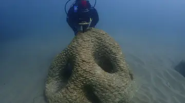 La ciencia y biotecnología para restaurar la biodiversidad del Port Olímpic La ciencia y biotecnología para restaurar la biodiversidad del Port Olímpic