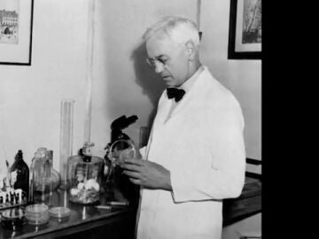 Fleming descubre la penicilina