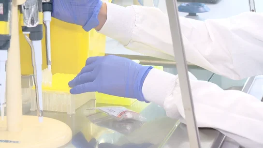 Avance importante en la investigación del Alzheimer: un simple análisis de sangre puede anticipar la progresión de la enfermedad Avance importante en la investigación del Alzheimer: un simple análisis de sangre puede anticipar la progresión de la enfermedad