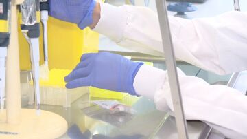 Avance importante en la investigación del Alzheimer: un simple análisis de sangre puede anticipar la progresión de la enfermedad