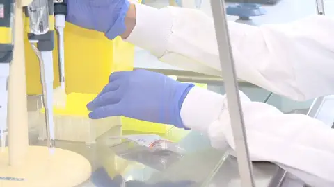 Avance importante en la investigación del Alzheimer: un simple análisis de sangre puede anticipar la progresión de la enfermedad Avance importante en la investigación del Alzheimer: un simple análisis de sangre puede anticipar la progresión de la enfermedad