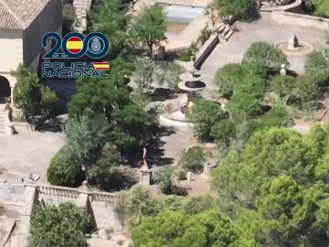 La policía Nacional desmantela una organización criminal que cultivaba droga en Alicante, Murcia y Valencia