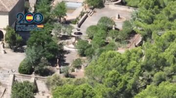 La policía Nacional desmantela una organización criminal que cultivaba droga en Alicante, Murcia y Valencia