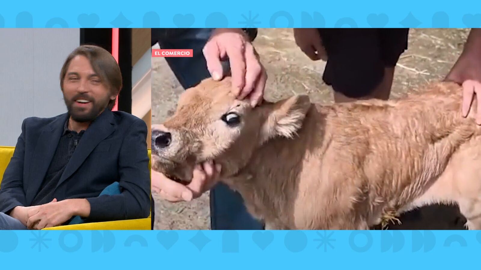 Soto Ivars, ante el descubrimiento de un cadáver tras el atropello de un tren a una vaca: 