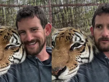 El cuidador de tigres Ryan Easley El cuidador de tigres Ryan Easley