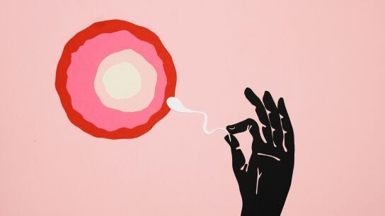 Ilustraci&oacute;n de un &oacute;vulo y un espermatozoide