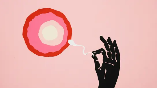 Ilustración de un óvulo y un espermatozoide Ilustración de un óvulo y un espermatozoide