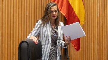 La delegada del Gobierno contra la Violencia de Género, Carmen Martínez Perza