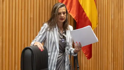 La delegada del Gobierno contra la Violencia de Género, Carmen Martínez Perza La delegada del Gobierno contra la Violencia de Género, Carmen Martínez Perza