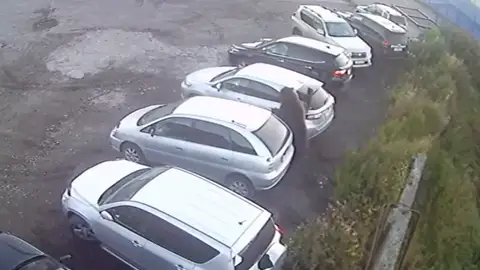 Ataque oso Ataque oso