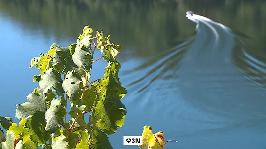 La Ribeira Sacra ha sido el escenario escogido para poner a prueba un proyecto piloto de uso de drones en carga en la vendimia La Ribeira Sacra ha sido el escenario escogido para poner a prueba un proyecto piloto de uso de drones en carga en la vendimia