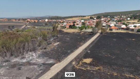 El Plan de Recuperaci&oacute;n de la Junta de Castilla y Le&oacute;n ya est&aacute; en marcha