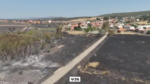 El Plan de Recuperación de la Junta de Castilla y León ya está en marcha El Plan de Recuperación de la Junta de Castilla y León ya está en marcha