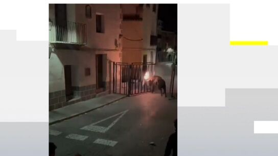 Imagen del toro embolado en J&eacute;rica, Castell&oacute;n.