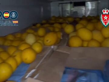 Casi 10 toneladas de hachís son detectadas por La Policía Nacional