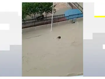 Rescatan a varias personas atrapadas en las riadas provocadas por el temporal en Molina de Segura Rescatan a varias personas atrapadas en las riadas provocadas por el temporal en Molina de Segura