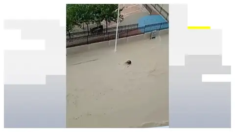 Rescatan a varias personas atrapadas en las riadas provocadas por el temporal en Molina de Segura Antena3 Noticias