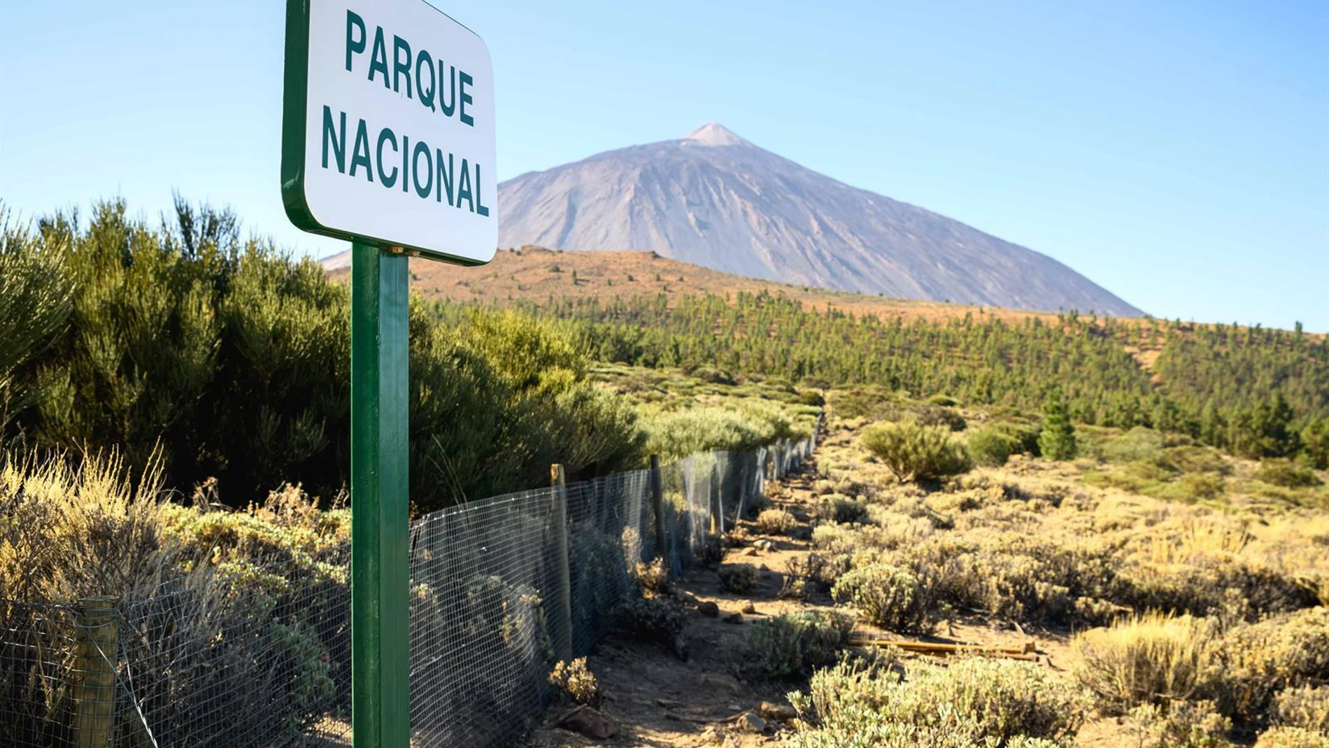 El PRUG del Teide se orienta a acabar con la masificación: guaguas lanzadera en 'horas pico' y aparcamiento con reserva El PRUG del Teide se orienta a acabar con la masificación: guaguas lanzadera en 'horas pico' y aparcamiento con reserva