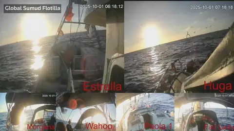 Barcos Flotilla Barcos Flotilla