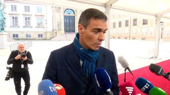 Pedro S&aacute;nchez