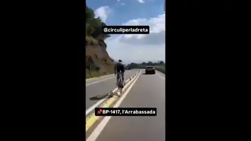 La temeridad de un ciclista del Kern Pharma en una carretera de Barcelona La temeridad de un ciclista del Kern Pharma en una carretera de Barcelona