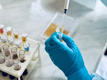 Investigación en laboratorio