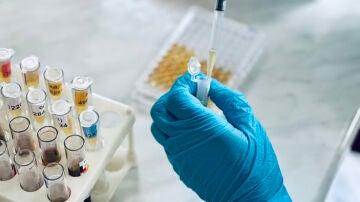 Investigaci&oacute;n en laboratorio