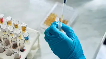 Investigación en laboratorio Investigación en laboratorio