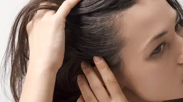 Pelo con canas Pelo con canas